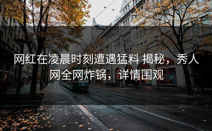 网红在凌晨时刻遭遇猛料 揭秘,秀人网全网炸锅,详情围观