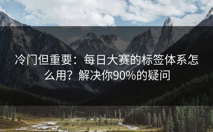 冷门但重要:每日大赛的标签体系怎么用?解决你90%的疑问