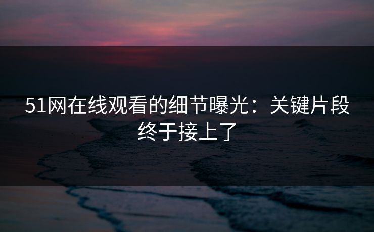 51网在线观看的细节曝光：关键片段终于接上了