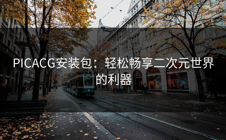 PICACG安装包：轻松畅享二次元世界的利器